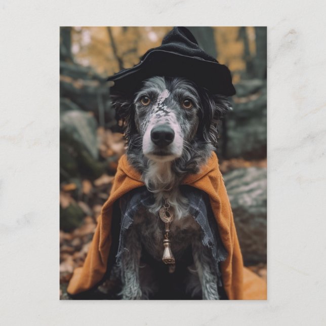 Adorable Spotted Halloween Dog Postcard (Front)