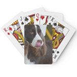 Adorable Springer Spanial Poker Cards