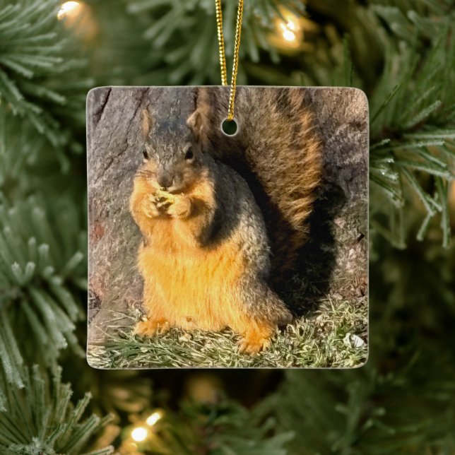 Adorable Squirrel  Ceramic Ornament (Tree)