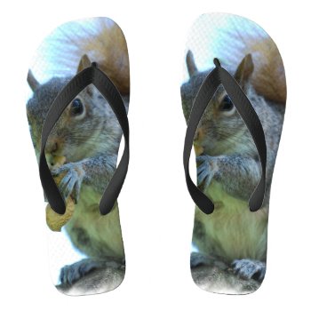 Adorable Squirrel Flip Flops by WildlifeAnimals at Zazzle