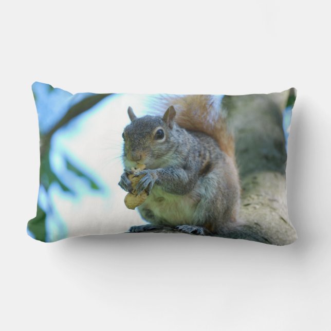 Adorable Squirrel Lumbar Pillow (Front)