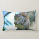 Adorable Squirrel Lumbar Pillow