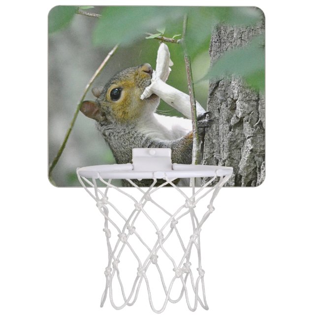 Adorable Squirrel Mini Basketball Hoop (Front)