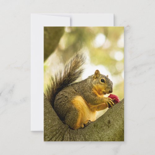 Adorable Squirrel Personalized Greeting Card