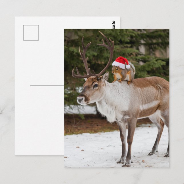 Adorable Squirrel Santa and the Reindeer Christmas Postcard (Front/Back)