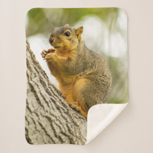 Adorable Squirrel Sherpa Blanket