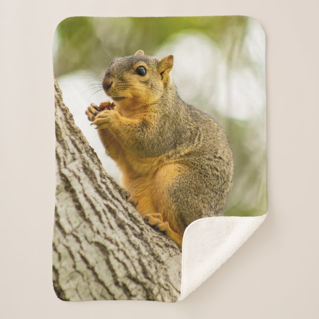 Adorable Squirrel Sherpa Blanket (Front)