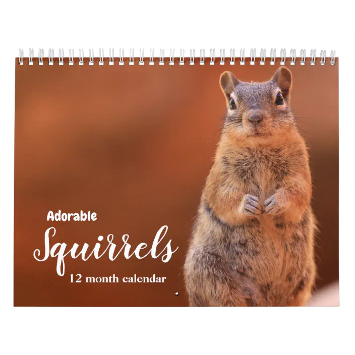 2022 Squirrel Calendar Adorable Squirrels 2022 Calendar | Zazzle.com