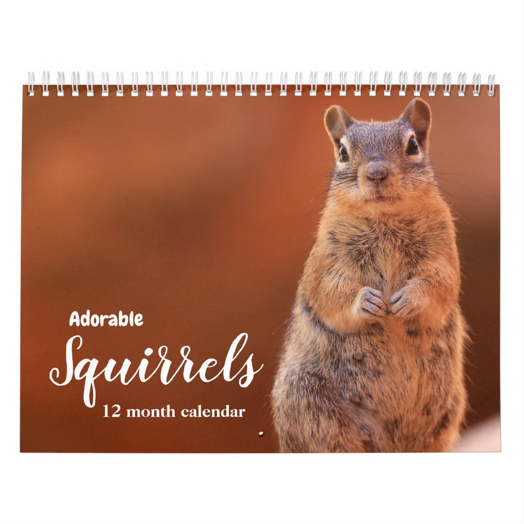 Adorable Squirrels 2023 Calendar Zazzle
