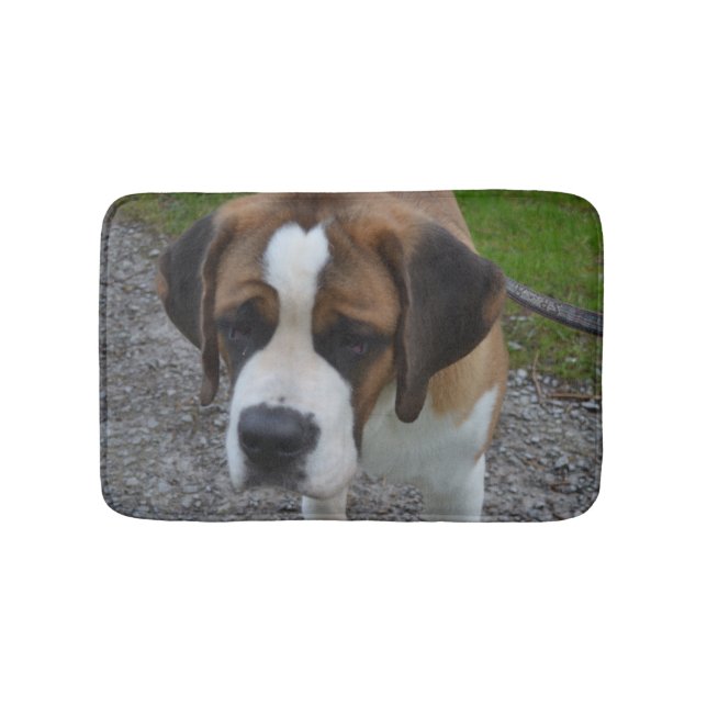 Adorable St Bernard Bathroom Mat (Front)