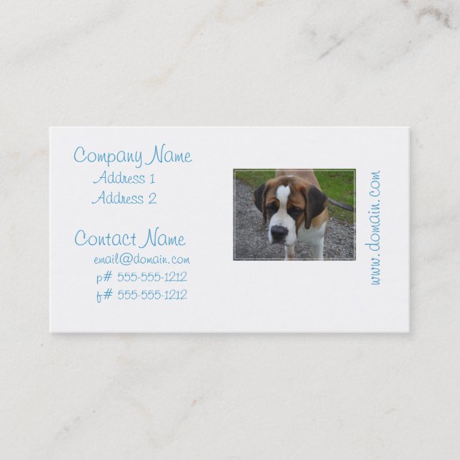 Adorable St Bernard Business Card (Front)