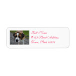 Adorable St Bernard Label