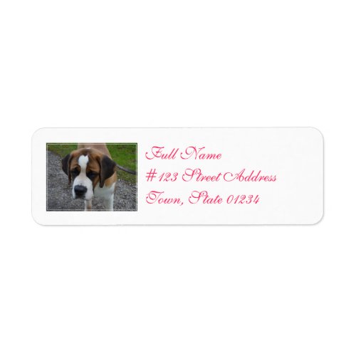 Adorable St Bernard Label