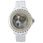 Adorable St Bernard Watch