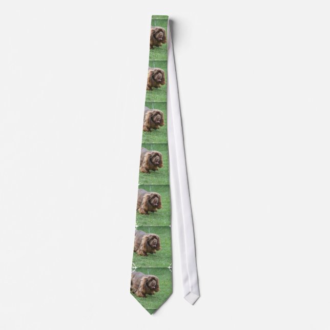 Adorable Sussex Spaniel Tie (Front)