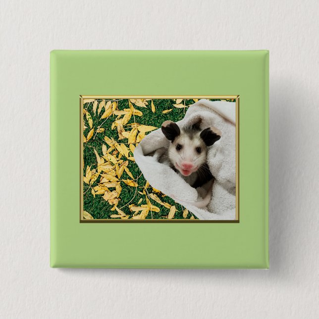 Adorable Sweet Baby Opossum Button (Front)