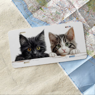 ADORABLE TABBY & BLACK & WHITE CAT PEEKING LICENSE PLATE