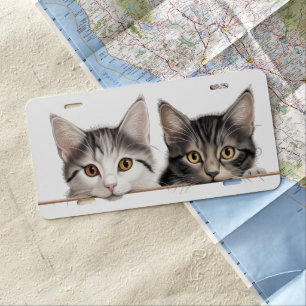 ADORABLE TABBY & BLACK & WHITE CAT PEEKING LICENSE PLATE