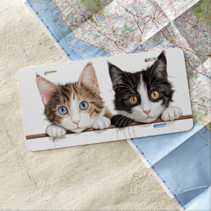 ADORABLE TABBY & BLACK & WHITE CAT PEEKING LICENSE PLATE