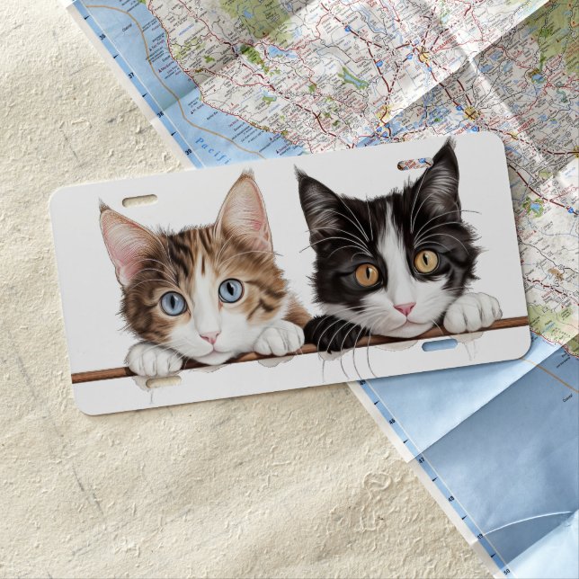 ADORABLE TABBY & BLACK & WHITE CAT PEEKING LICENSE PLATE (In Situ)