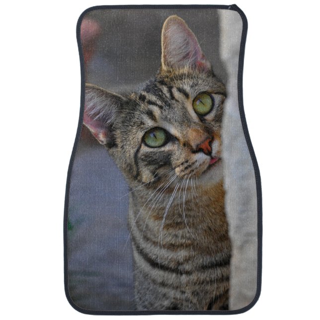 Adorable Tabby Cat Car Floor Mat (Front)