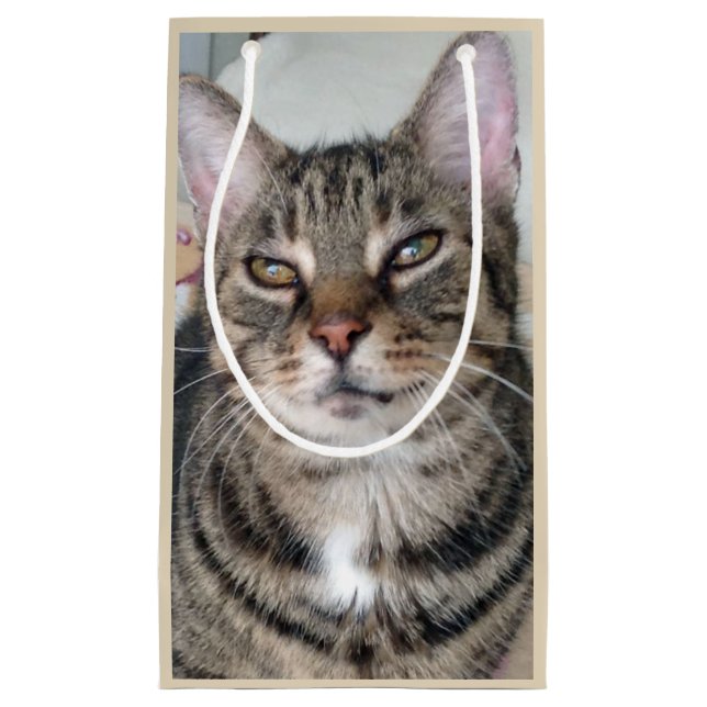 Adorable Tabby Cat Photo Gift Bag (Front)