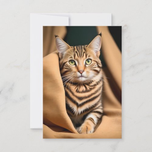 Adorable Tabby Cat with Green Eyes on a Blanket  Card