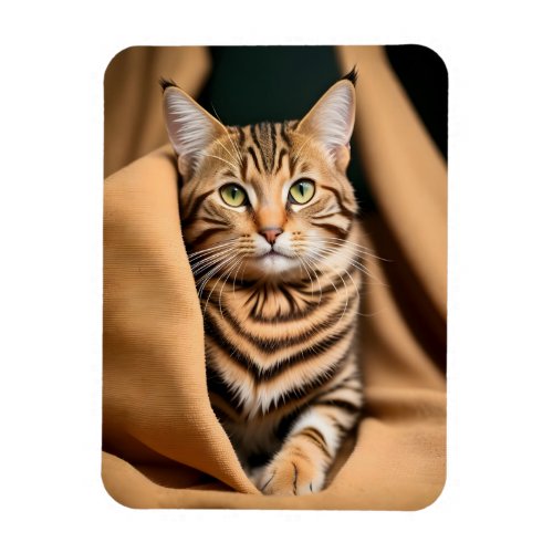 Adorable Tabby Cat with Green Eyes on a Blanket  Magnet