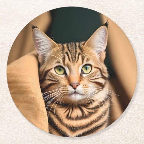 Adorable Tabby Cat with Green Eyes on a Blanket  Round Paper Coaster