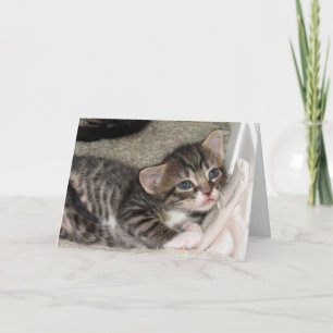 Adorable Tabby Greeting Card