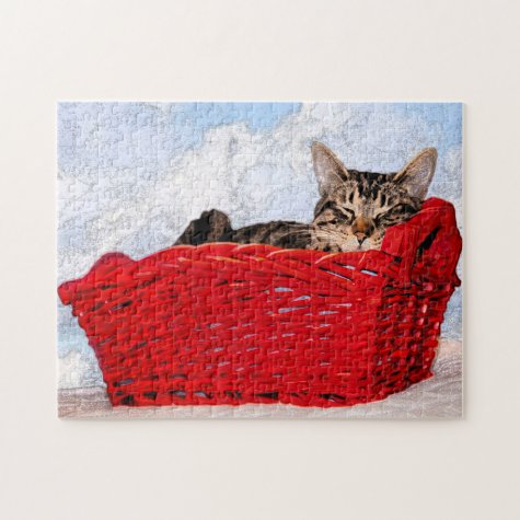 Adorable Tabby Kitten Sleeping In Red Basket Photo