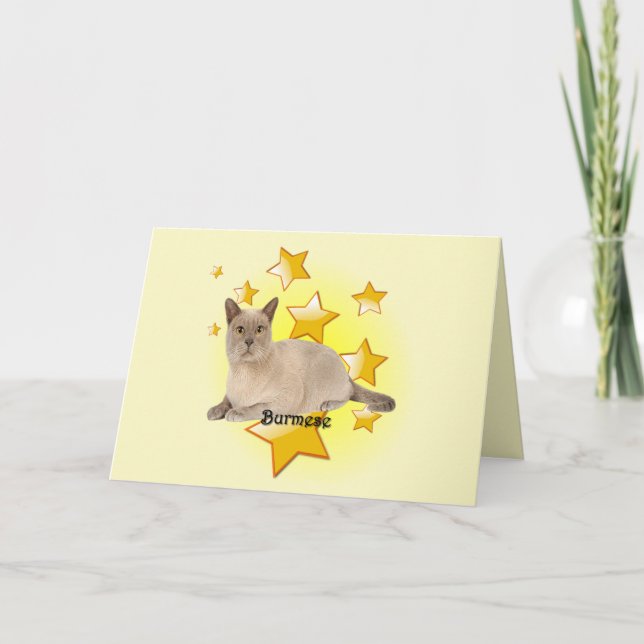 Adorable Tan Burmese Cat in the Stars    Card (Front)