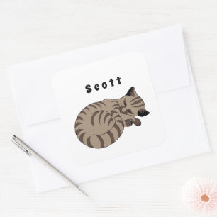 Adorable Tan Tabby Kitten Sleep Name Tag
