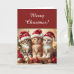 Adorable Three Cute Kittens in Santa Hats Pet Love Holiday Card