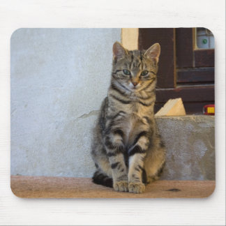 Adorable Tiger Cat Baby Mouse Pad