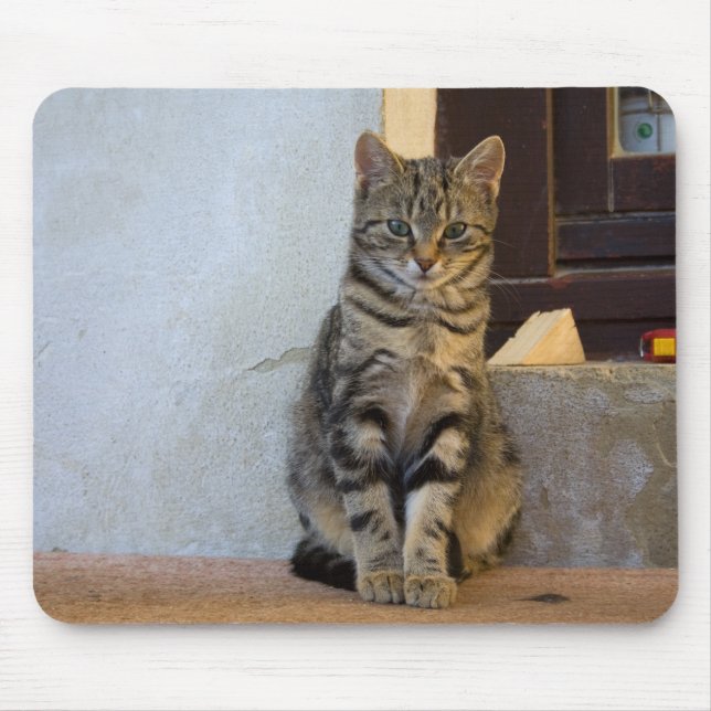 Adorable Tiger Cat Baby Mouse Pad (Front)