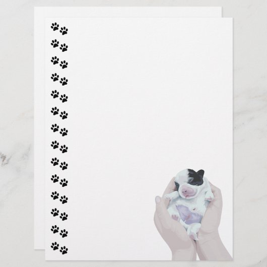 Adorable Tiny Newborn Puppy  Letterhead (Front/Back)