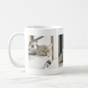 Adorable Tired Kitty Cat Lovers' Photo Collage Mug