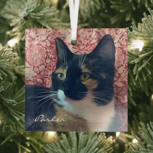 Adorable Tortoiseshell Cat Beveled Glass Ornament