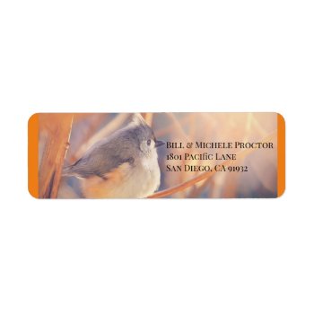 Adorable Tufted Titmouse Bird Label by Vanillaextinctions at Zazzle