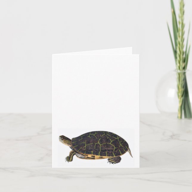 Adorable turtle note card (Front)