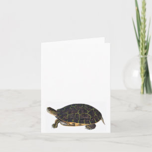 Adorable turtle note card