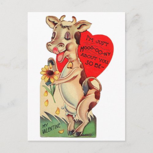 Adorable Valentine Cow Postcard