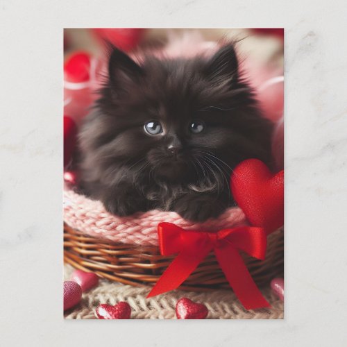 Adorable Valentine Fluffy Black Kitten in Basket Postcard
