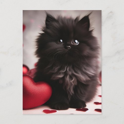 Adorable Valentine Fluffy Black Kitten Postcard