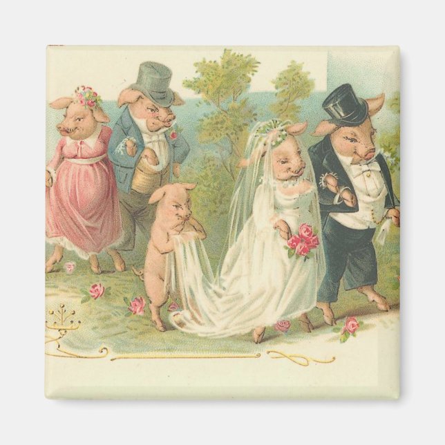 Adorable Vintage Pig Bride and Groom Magnet (Front)