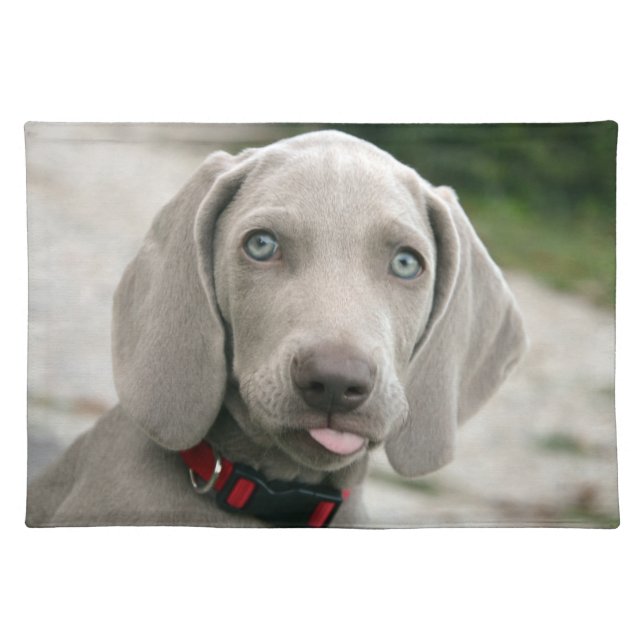 Adorable weimaraner puppy placemat (Front)