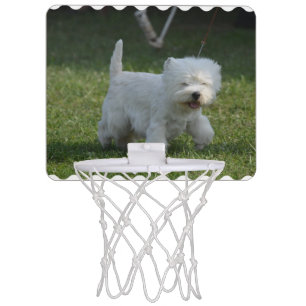 Adorable West Highland Terrier Mini Basketball Hoop
