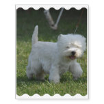 Adorable West Highland Terrier Temporary Tattoos