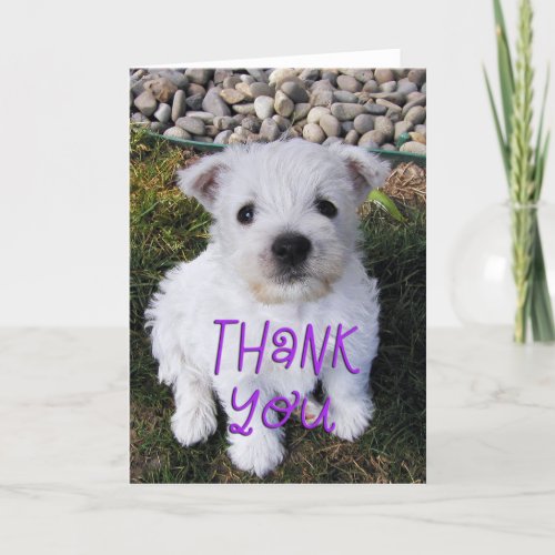 Adorable Westie Puppy Photo Thank You Card